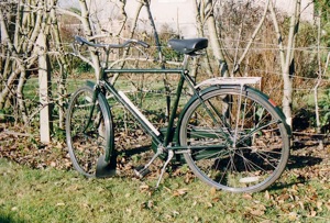 Raleigh sales bob bike