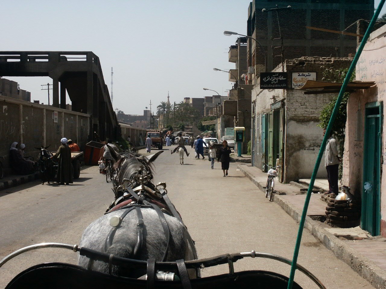 PICT0021-1 PICT0021-1