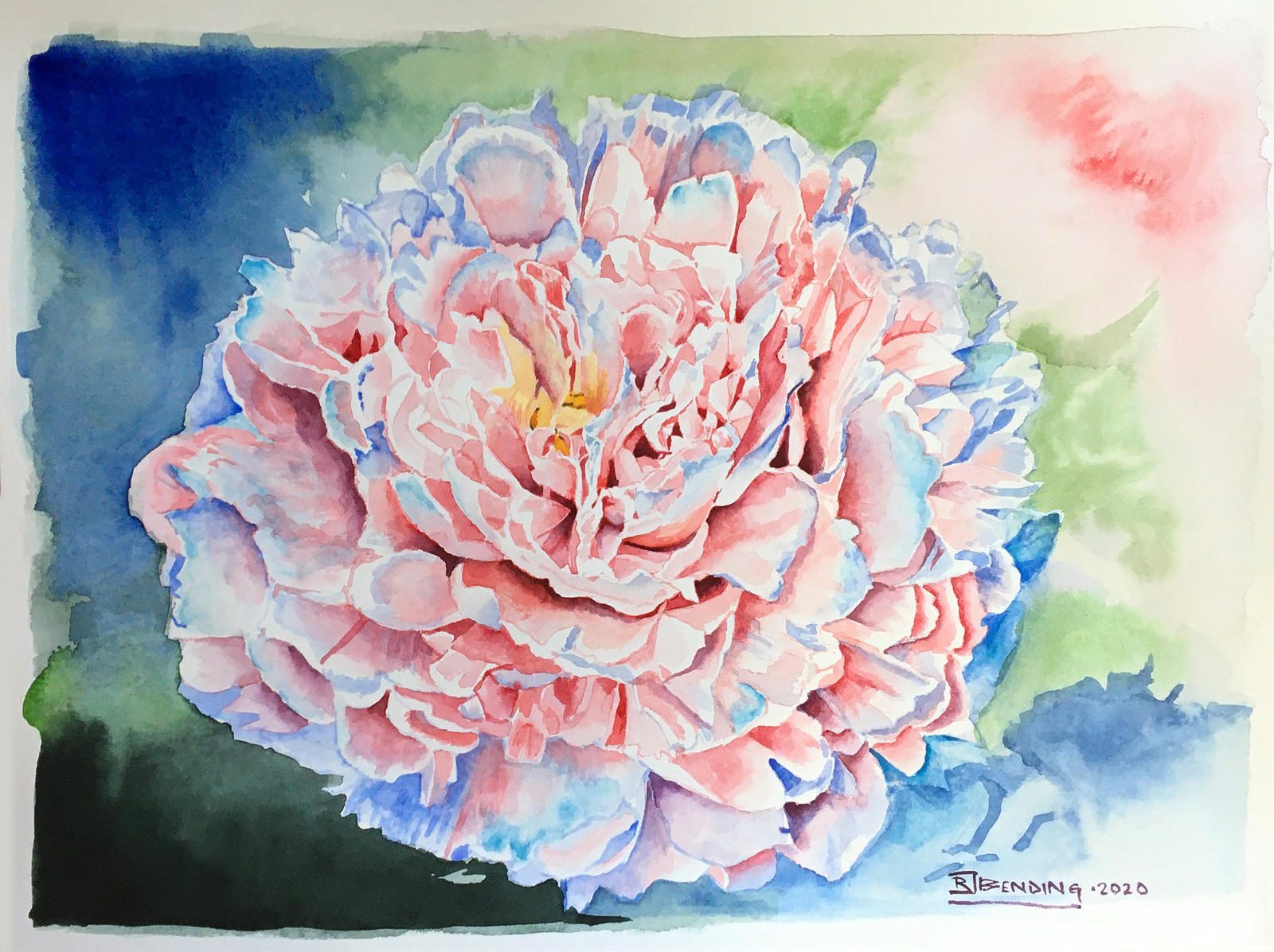 peony__coral_charm