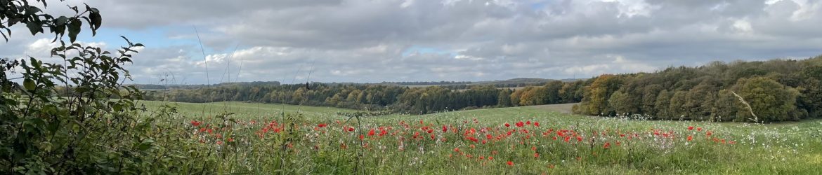 IMG_1450