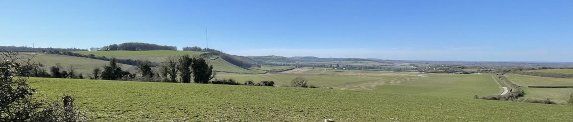 IMG_1642